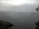 ./images/koeye/fitz-hugh/20150219/fitz-hugh20150219_073302.jpg