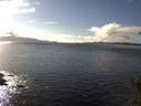 ./images/koeye/fitz-hugh/20150219/fitz-hugh20150219_150302.jpg
