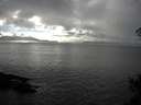 ./images/koeye/fitz-hugh/20150219/fitz-hugh20150219_160302.jpg