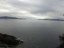 ./images/koeye/fitz-hugh/20150224/fitz-hugh20150224_100302.jpg