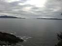 ./images/koeye/fitz-hugh/20150224/fitz-hugh20150224_103303.jpg