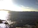 ./images/koeye/fitz-hugh/20150224/fitz-hugh20150224_153301.jpg