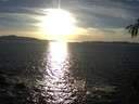 ./images/koeye/fitz-hugh/20150224/fitz-hugh20150224_170301.jpg