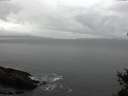 ./images/koeye/fitz-hugh/20150225/fitz-hugh20150225_103302.jpg