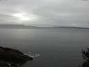 ./images/koeye/fitz-hugh/20150225/fitz-hugh20150225_120301.jpg