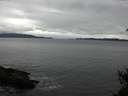 ./images/koeye/fitz-hugh/20150225/fitz-hugh20150225_143302.jpg