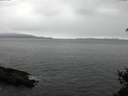 ./images/koeye/fitz-hugh/20150225/fitz-hugh20150225_150302.jpg