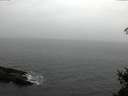 ./images/koeye/fitz-hugh/20150225/fitz-hugh20150225_160003.jpg