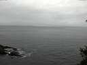 ./images/koeye/fitz-hugh/20150225/fitz-hugh20150225_170302.jpg