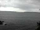 ./images/koeye/fitz-hugh/20150226/fitz-hugh20150226_083303.jpg