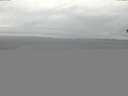 ./images/koeye/fitz-hugh/20150226/fitz-hugh20150226_100302.jpg