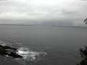 ./images/koeye/fitz-hugh/20150226/fitz-hugh20150226_103302.jpg