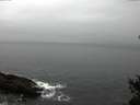 ./images/koeye/fitz-hugh/20150226/fitz-hugh20150226_120302.jpg
