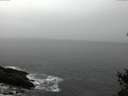 ./images/koeye/fitz-hugh/20150226/fitz-hugh20150226_121803.jpg