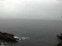 ./images/koeye/fitz-hugh/20150226/fitz-hugh20150226_122403.jpg