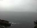 ./images/koeye/fitz-hugh/20150226/fitz-hugh20150226_122703.jpg