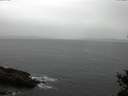./images/koeye/fitz-hugh/20150226/fitz-hugh20150226_150302.jpg