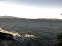 ./images/koeye/fitz-hugh/20150227/fitz-hugh20150227_113301.jpg