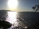 ./images/koeye/fitz-hugh/20150227/fitz-hugh20150227_163301.jpg