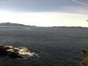 ./images/koeye/fitz-hugh/20150228/fitz-hugh20150228_120302.jpg