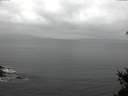 ./images/koeye/fitz-hugh/20150301/fitz-hugh20150301_103303.jpg