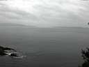 ./images/koeye/fitz-hugh/20150301/fitz-hugh20150301_122702.jpg
