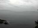 ./images/koeye/fitz-hugh/20150301/fitz-hugh20150301_123302.jpg