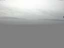 ./images/koeye/fitz-hugh/20150301/fitz-hugh20150301_130301.jpg