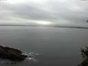./images/koeye/fitz-hugh/20150301/fitz-hugh20150301_143302.jpg