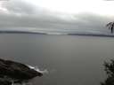 ./images/koeye/fitz-hugh/20150301/fitz-hugh20150301_160003.jpg