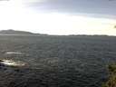 ./images/koeye/fitz-hugh/20150302/fitz-hugh20150302_120006.jpg