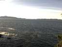 ./images/koeye/fitz-hugh/20150302/fitz-hugh20150302_120303.jpg