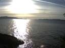 ./images/koeye/fitz-hugh/20150302/fitz-hugh20150302_163302.jpg