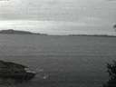 ./images/koeye/fitz-hugh/20150303/fitz-hugh20150303_063303.jpg