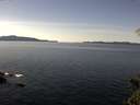 ./images/koeye/fitz-hugh/20150303/fitz-hugh20150303_122702.jpg