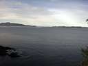 ./images/koeye/fitz-hugh/20150304/fitz-hugh20150304_093303.jpg