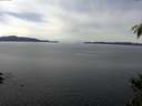 ./images/koeye/fitz-hugh/20150304/fitz-hugh20150304_123301.jpg