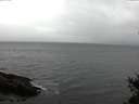 ./images/koeye/fitz-hugh/20150305/fitz-hugh20150305_080005.jpg