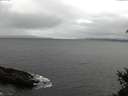 ./images/koeye/fitz-hugh/20150305/fitz-hugh20150305_083301.jpg
