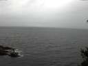 ./images/koeye/fitz-hugh/20150305/fitz-hugh20150305_100005.jpg