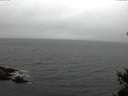 ./images/koeye/fitz-hugh/20150305/fitz-hugh20150305_100301.jpg