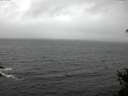 ./images/koeye/fitz-hugh/20150305/fitz-hugh20150305_113301.jpg