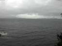 ./images/koeye/fitz-hugh/20150305/fitz-hugh20150305_122401.jpg