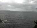 ./images/koeye/fitz-hugh/20150305/fitz-hugh20150305_143302.jpg