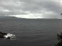 ./images/koeye/fitz-hugh/20150305/fitz-hugh20150305_150303.jpg