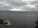 ./images/koeye/fitz-hugh/20150305/fitz-hugh20150305_153302.jpg