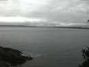 ./images/koeye/fitz-hugh/20150306/fitz-hugh20150306_063302.jpg