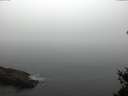 ./images/koeye/fitz-hugh/20150307/fitz-hugh20150307_100005.jpg