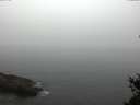 ./images/koeye/fitz-hugh/20150307/fitz-hugh20150307_100302.jpg