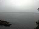./images/koeye/fitz-hugh/20150307/fitz-hugh20150307_103303.jpg